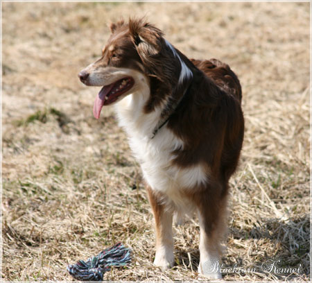 Chilli 4 1/2 �r Mai 2009